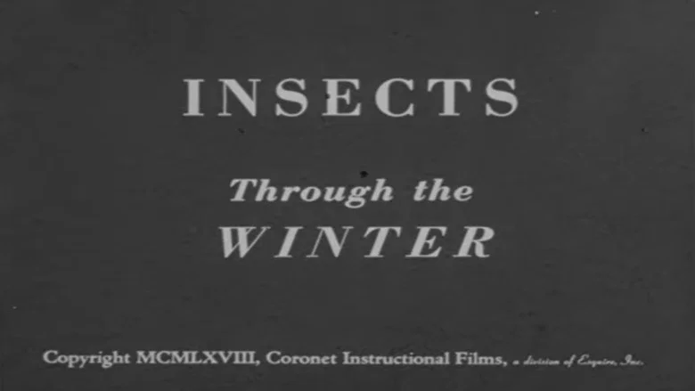 Insects Through the Winter screenshot 1