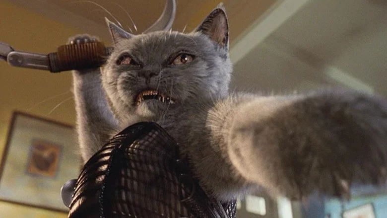 Cats & Dogs screenshot 7