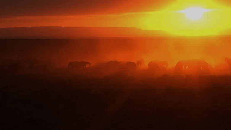 American Mustang screenshot 5