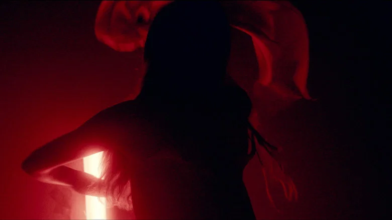 Where Sight and Sound Falter screenshot 1
