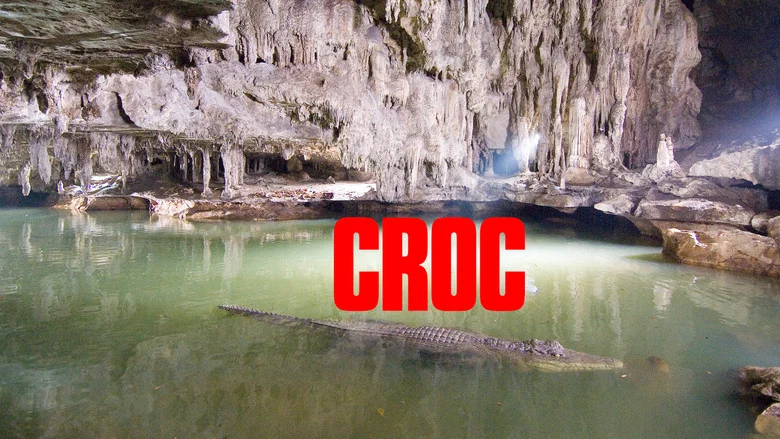Croc screenshot 4