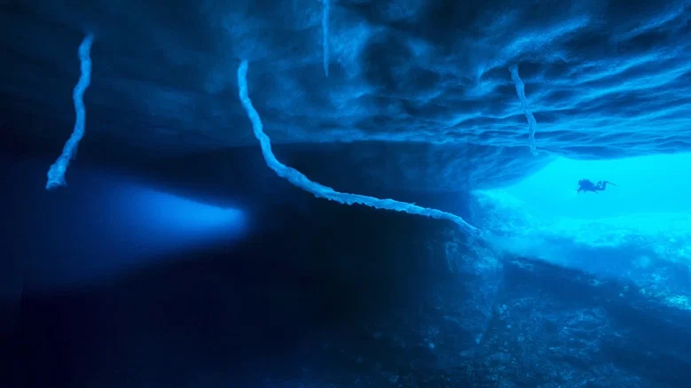 Antarctica, in the footsteps of the Emperor screenshot 1