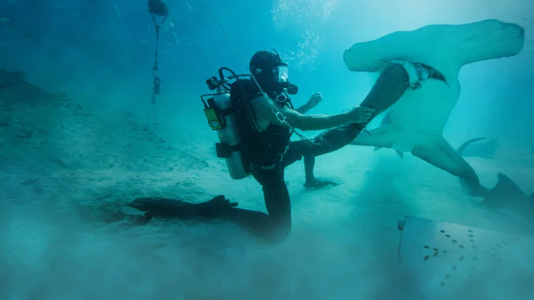 Man vs. Shark screenshot 3