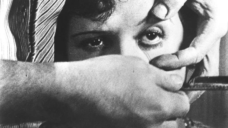 Un Chien Andalou screenshot 3