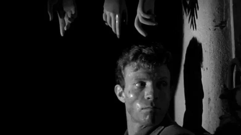 Killer's Kiss screenshot 1