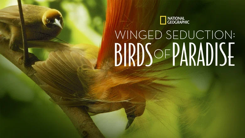 Winged Seduction: Birds of Paradise screenshot 3