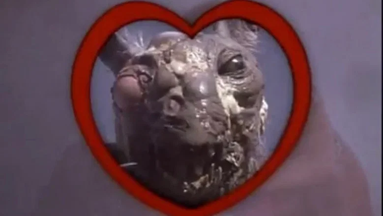 Class of Nuke 'Em High 2: Subhumanoid Meltdown screenshot 5