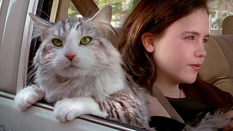 That Darn Cat screenshot 6