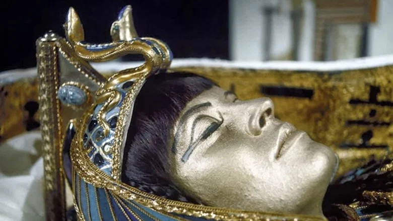 Curse of the Mummy screenshot 1