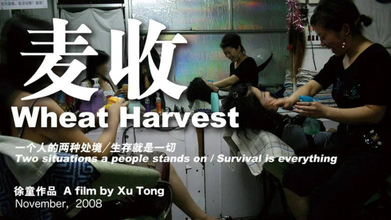 Wheat Harvest screenshot 1