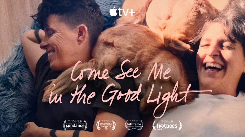 Come See Me in the Good Light screenshot 7
