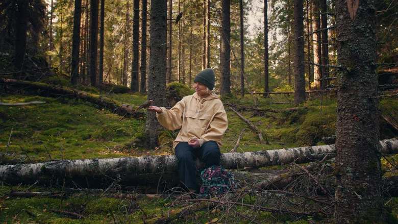 Once Upon a Time in a Forest screenshot 1