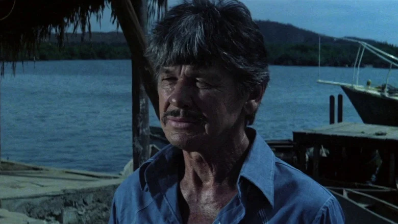 Caboblanco screenshot 4