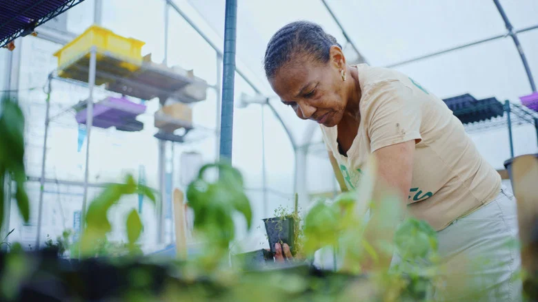 Grow a Better Dallas screenshot 6