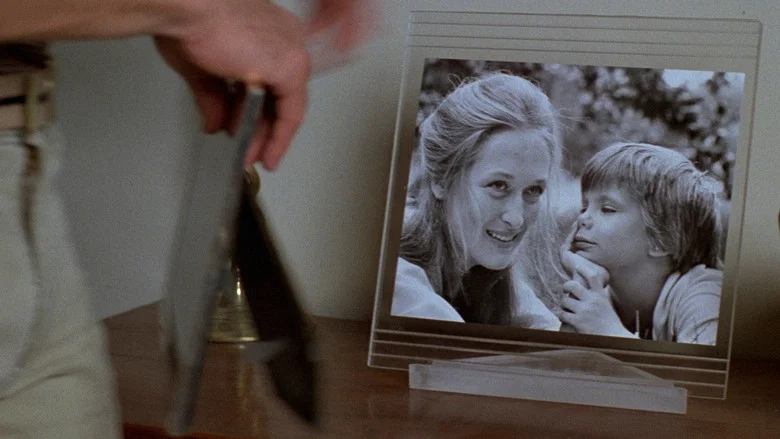 Kramer vs. Kramer screenshot 8