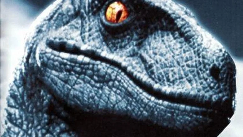 Raptor screenshot 2