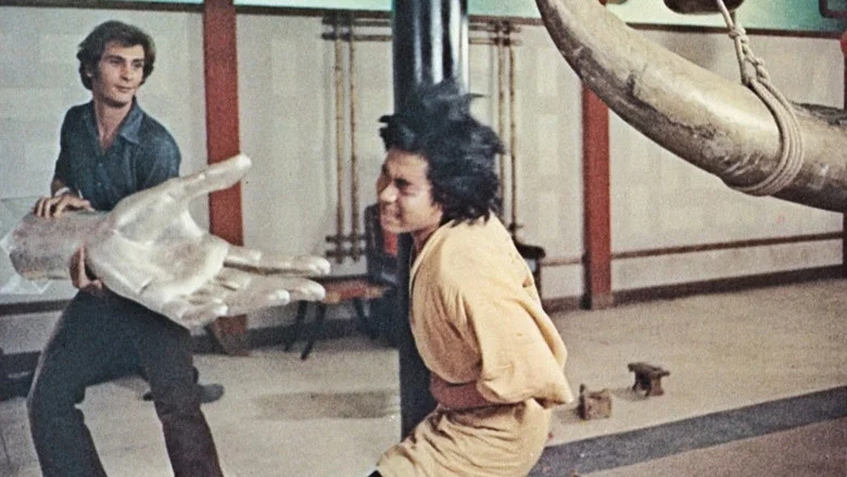 Mr. Hercules Against Karate screenshot 1