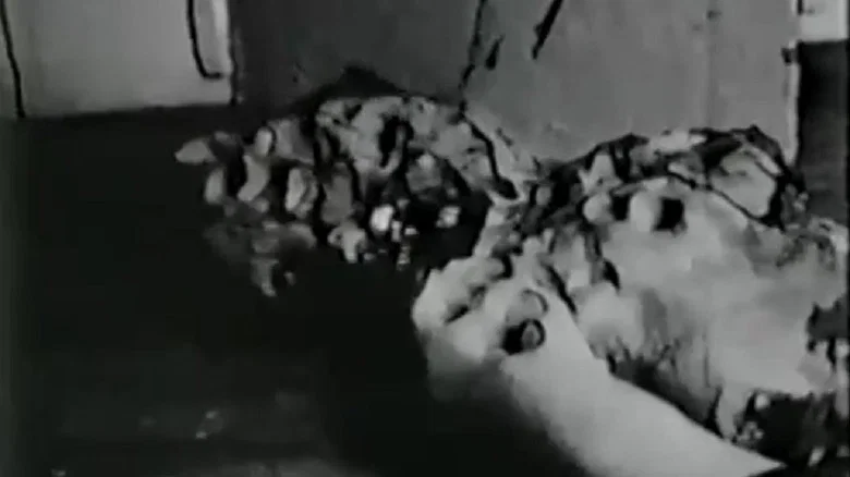 Debbie Does Damnation screenshot 3