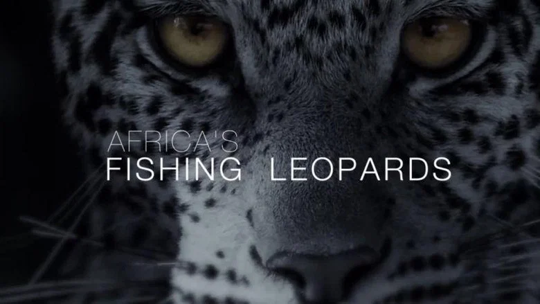 Africa's Fishing Leopards screenshot 1