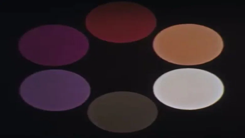 Discovering Color screenshot 1