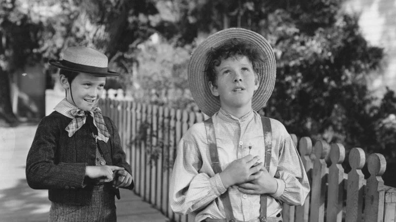 The Adventures of Tom Sawyer screenshot 3