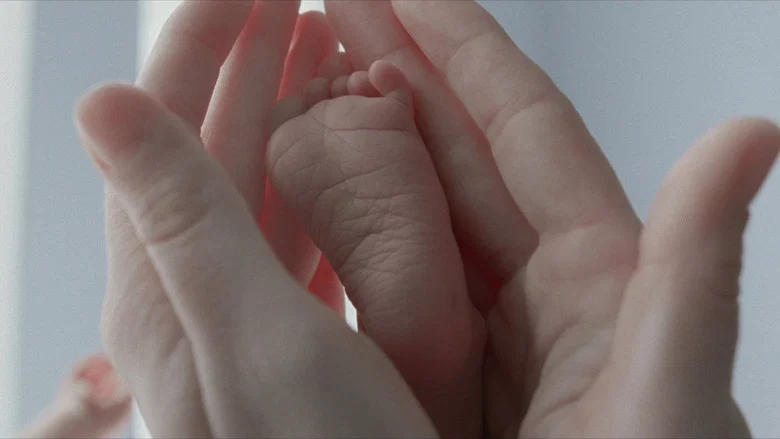 The Tree of Life screenshot 8