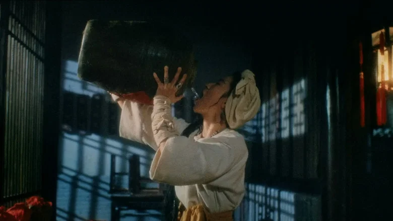 Tai-Chi Master screenshot 4