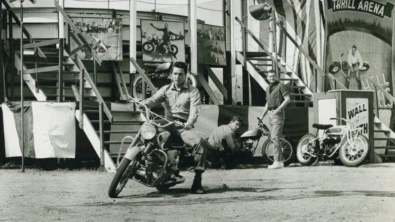Roustabout screenshot 5