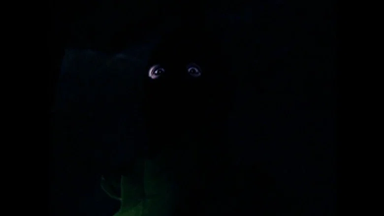 Sleepless screenshot 3