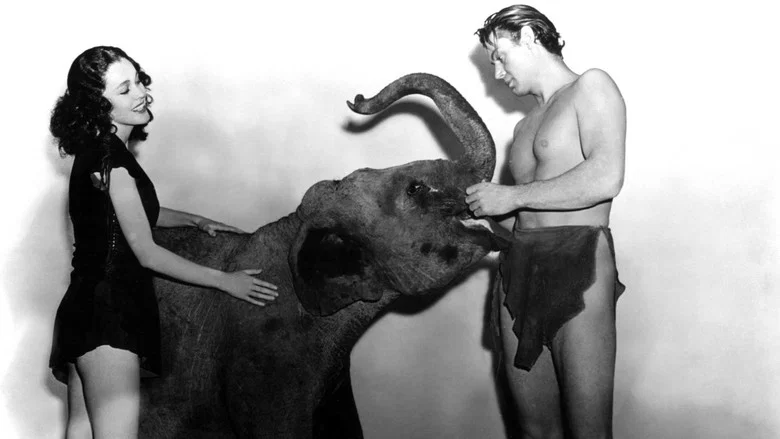 Tarzan Finds a Son! screenshot 5