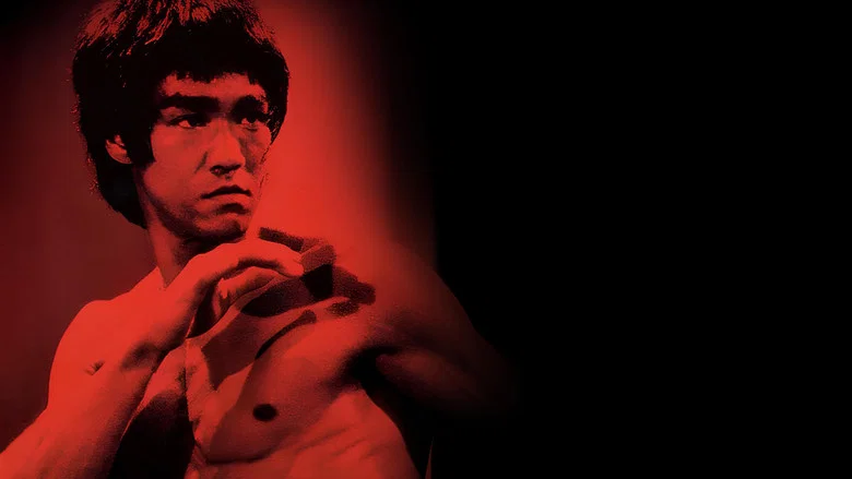 Bruce Lee, the Legend screenshot 1