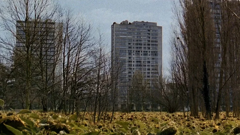 Left Bank screenshot 5