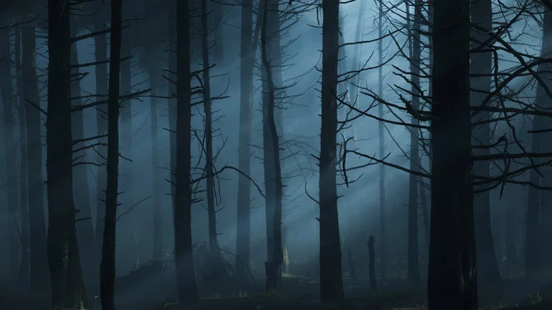 Feral screenshot 1