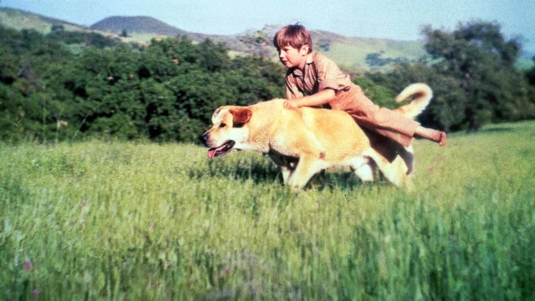 Old Yeller screenshot 6