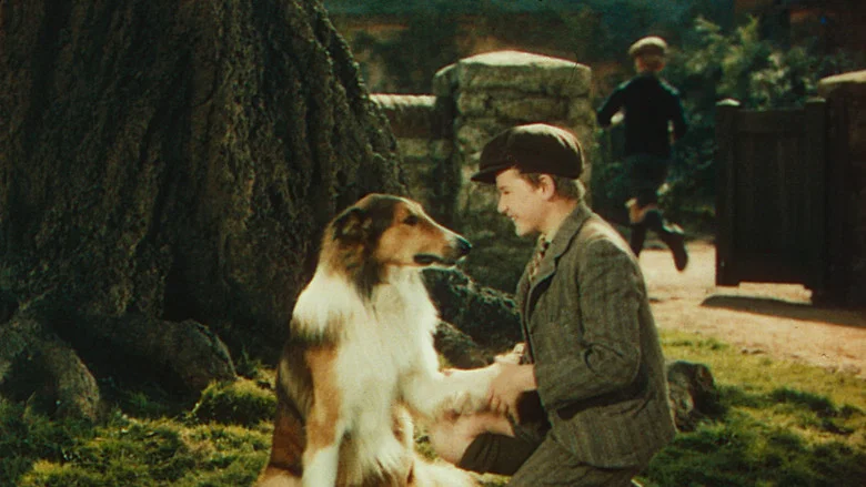 Lassie Come Home screenshot 8
