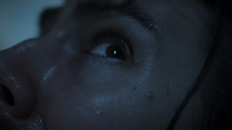 The Dysphoria screenshot 2