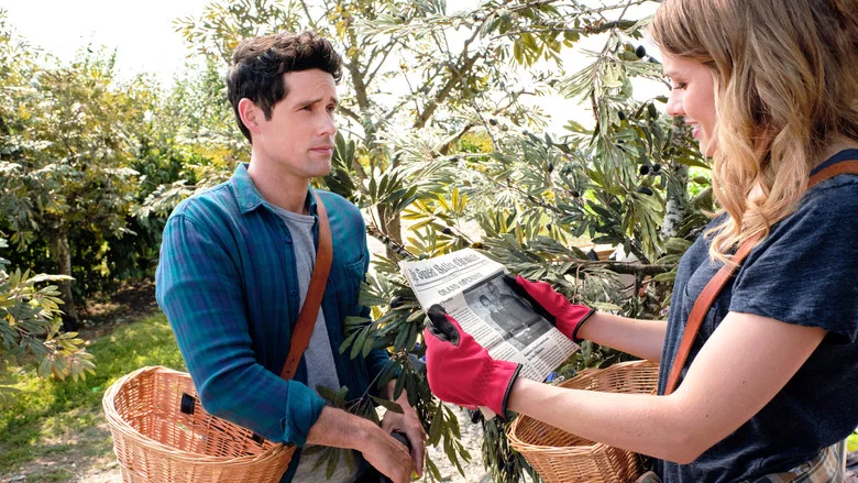 Love Under the Olive Tree screenshot 5