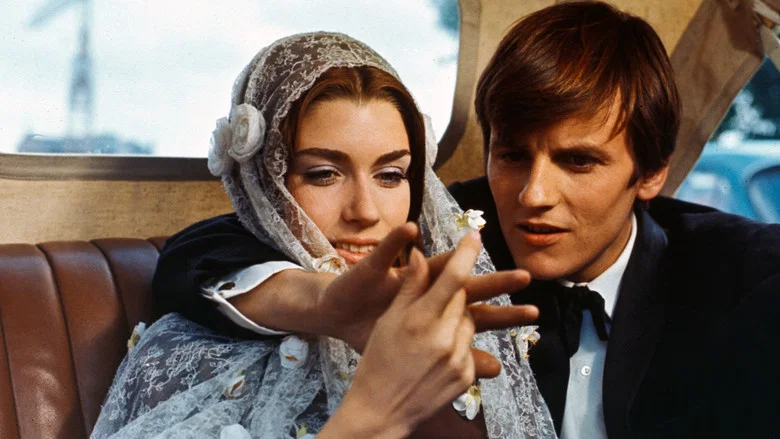 Spray of the Days screenshot 2