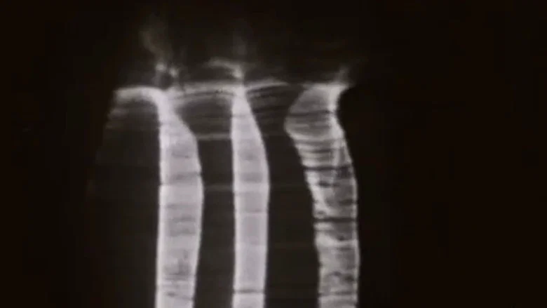 The Achalunés screenshot 1