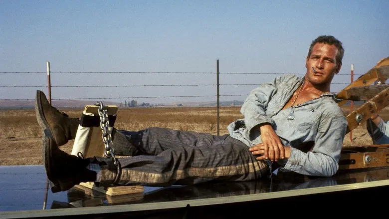 Cool Hand Luke screenshot 2