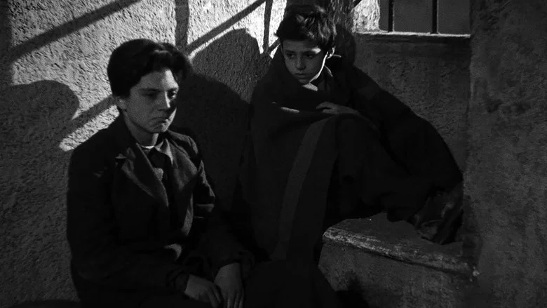 Shoeshine screenshot 5