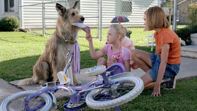 Because of Winn-Dixie screenshot 8