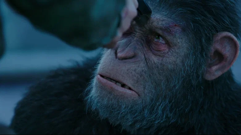 War for the Planet of the Apes screenshot 4