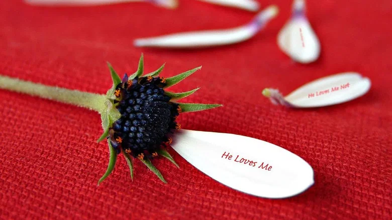 He Loves Me… He Loves Me Not screenshot 5