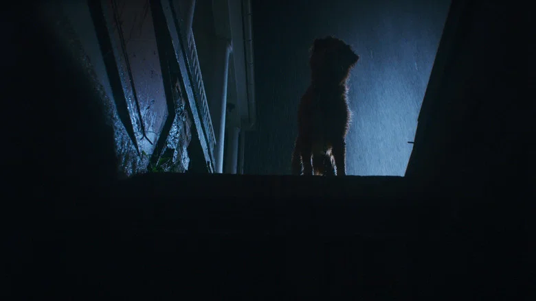 Good Boy screenshot 8