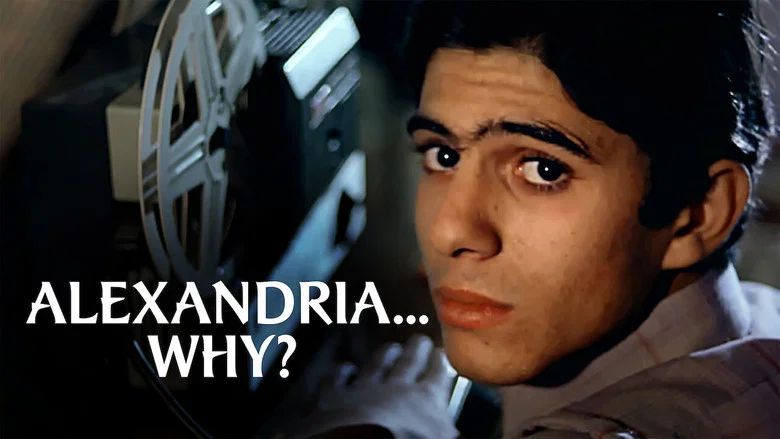 Alexandria… Why? screenshot 6