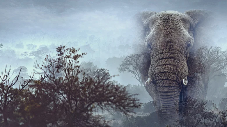 Ghost Elephants screenshot 8