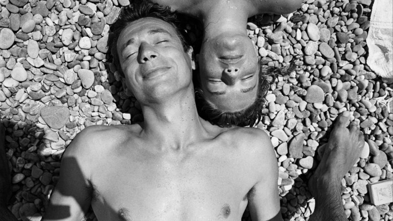 All About Yves Montand screenshot 4