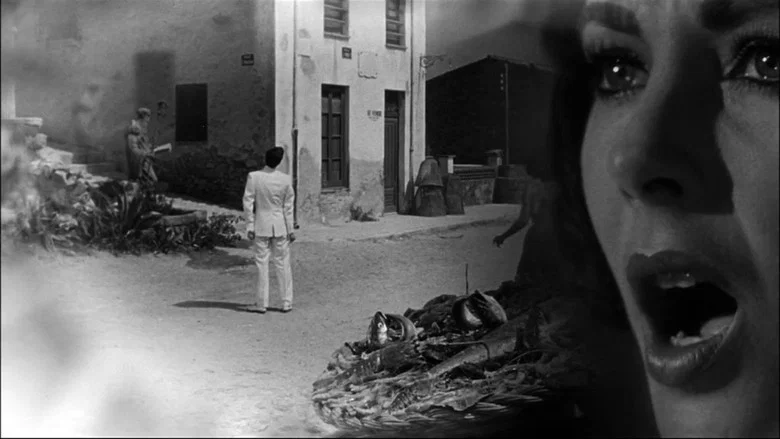 Suddenly, Last Summer screenshot 8