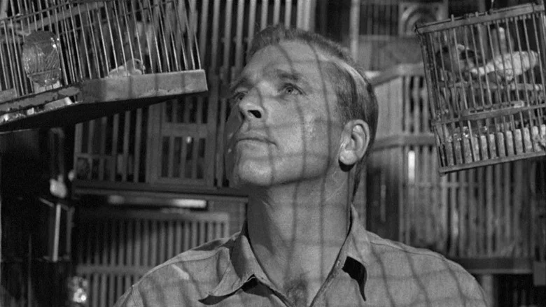 Birdman of Alcatraz screenshot 7